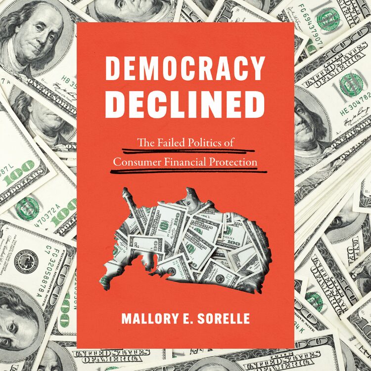 Book jacket - democracy declined