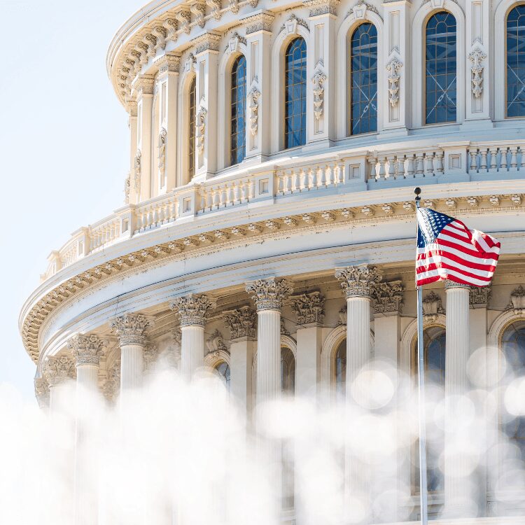 capitol building, flag waving, smoke in foreground