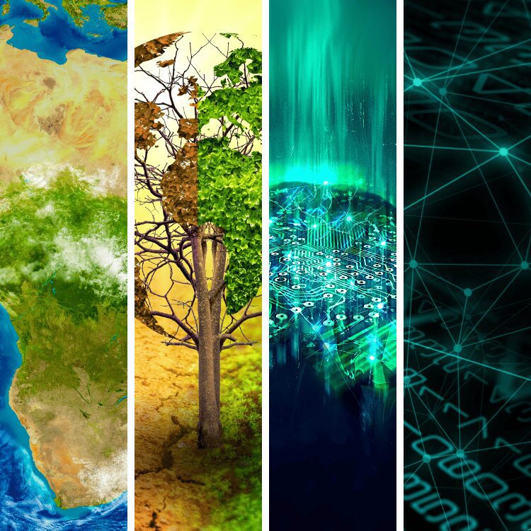 four vertical bands featuring from left to right a portion of Africa on the globe, a bissected tree design that withers on the left and grows on the right, glowing green energy radiances emanating from the ground to the sky, and an information network visualization
